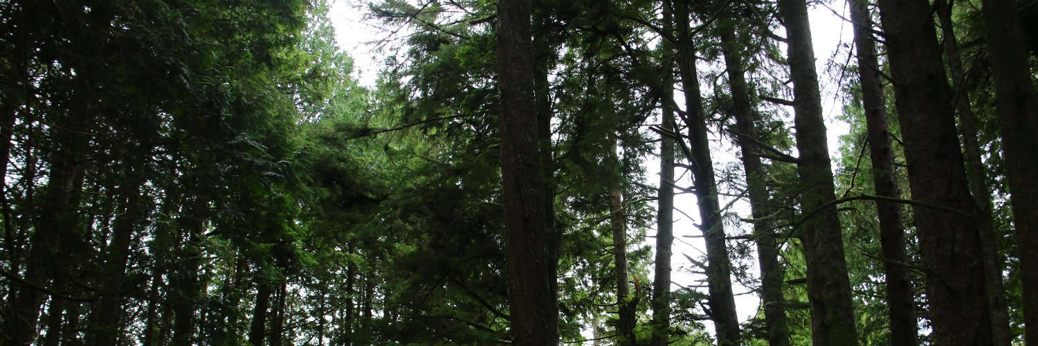 Jessica Phillips (she/her) banner