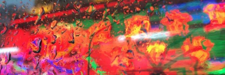 nycdaydream's profile banner image
