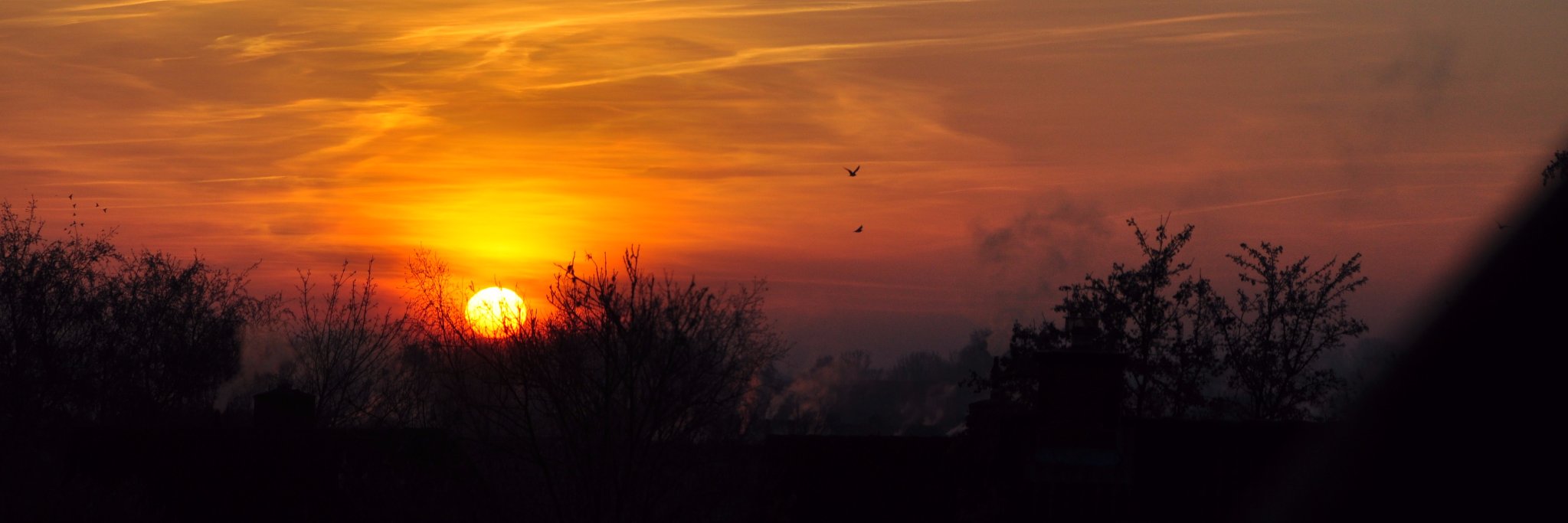 2hoog1961's profile banner image