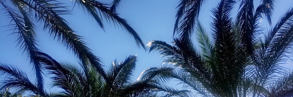 erin__sims's profile banner image