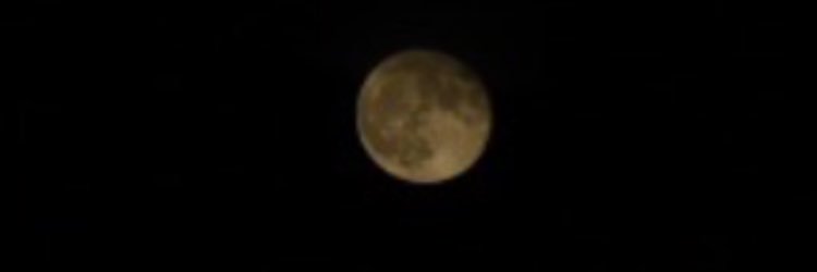 Hαყʅҽყ Tυɾɳҽɾ banner