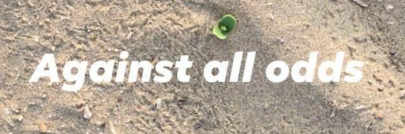 Dr.Ashish Vidhate-Patil banner