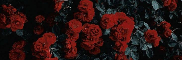 anamaigue_'s profile banner image