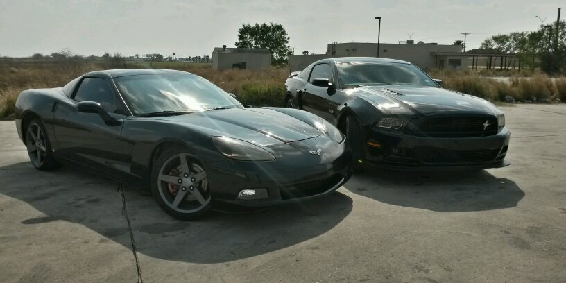 DAVE...\('o')/ banner