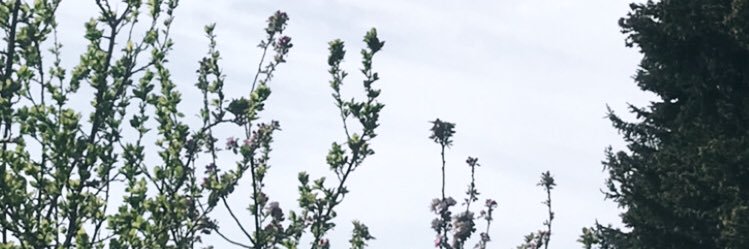 stepankadimaio4's profile banner image