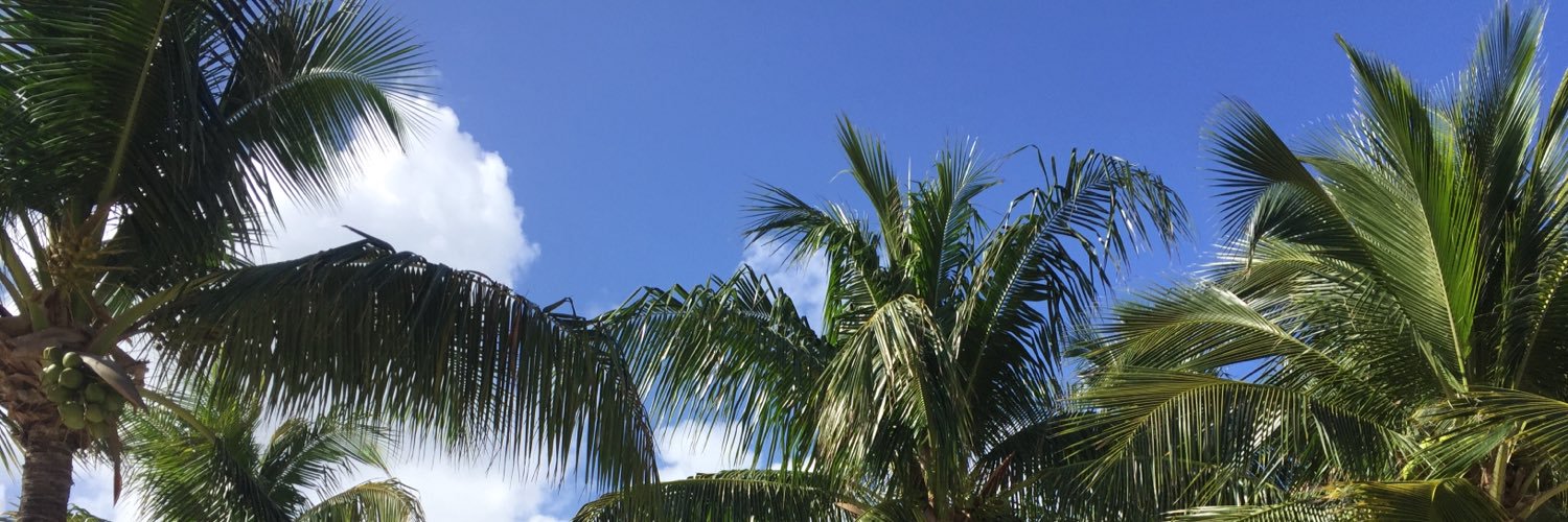 mamatoad5's profile banner image