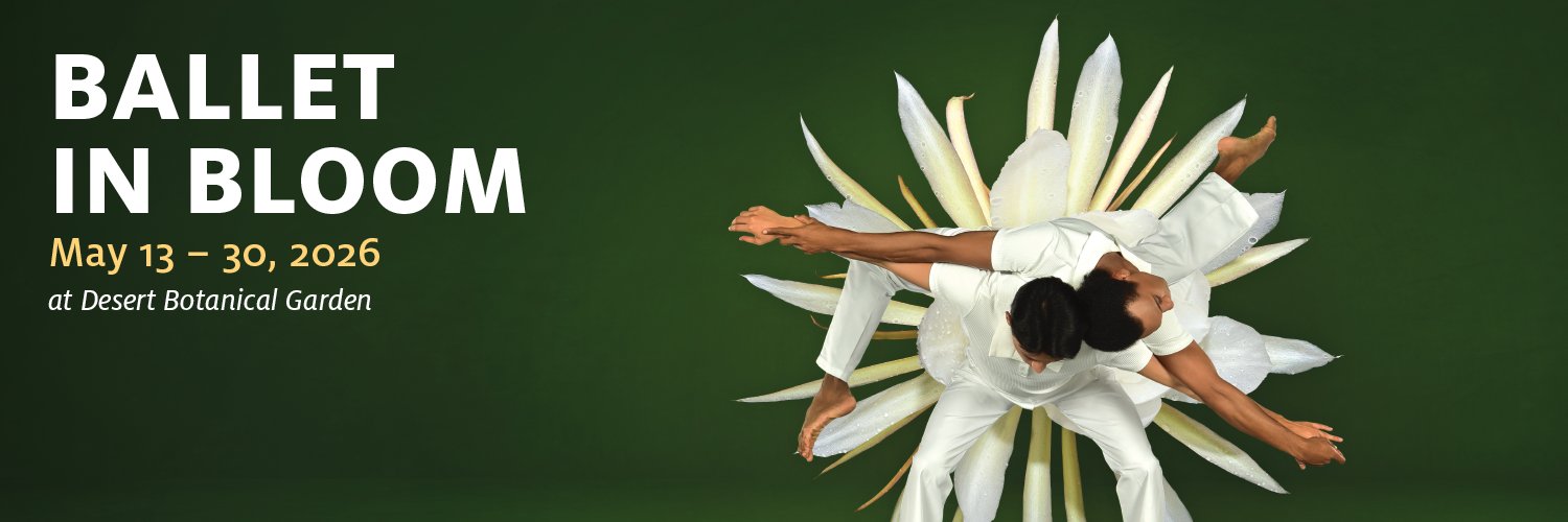 Ballet Arizona banner