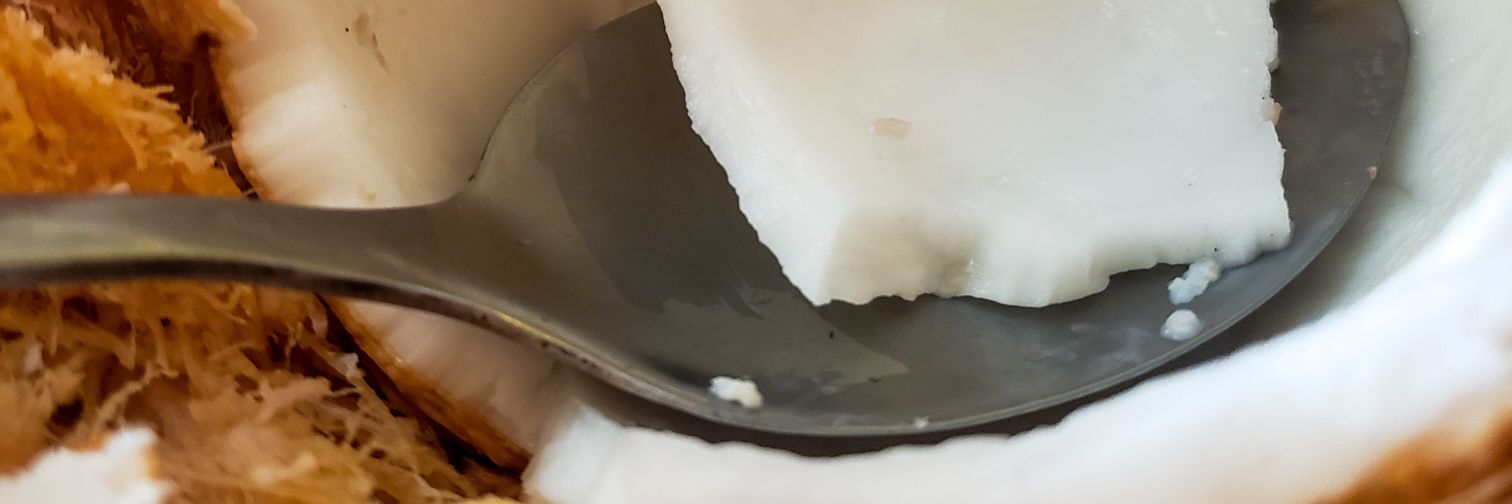 traiiiseee 🇩🇲🏳️‍🌈 banner