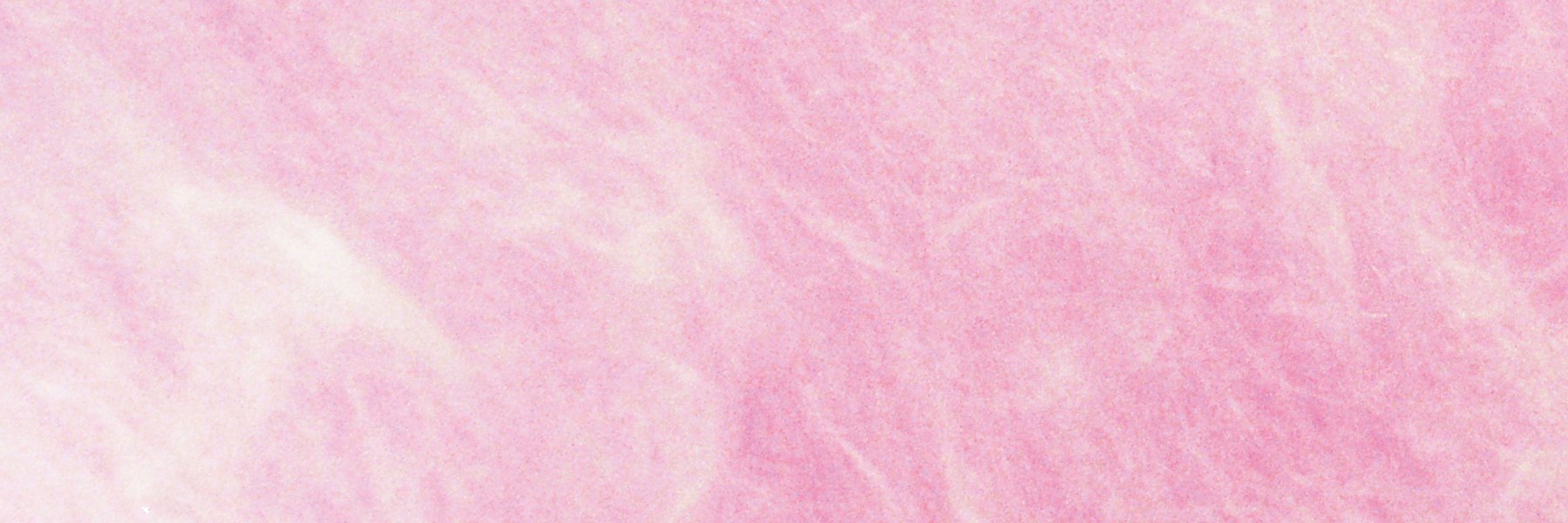 The Courtneys banner