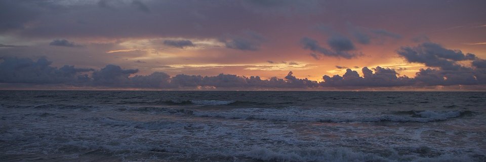 Wuselschene's profile banner image