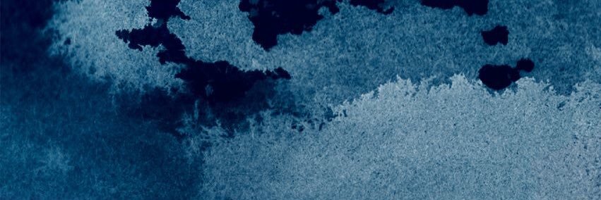 Bokförlaget Tranan banner