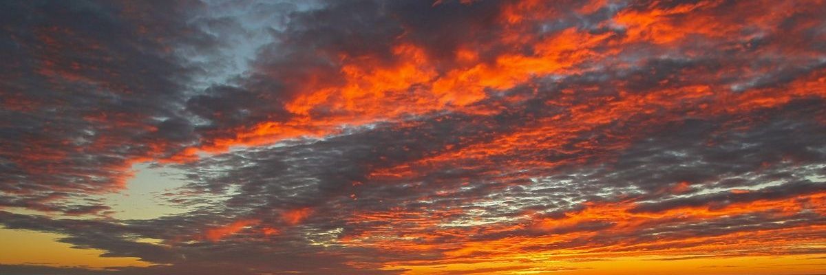 ErikaPinoo's profile banner image
