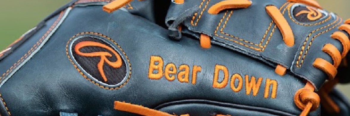 dmharris223's profile banner image