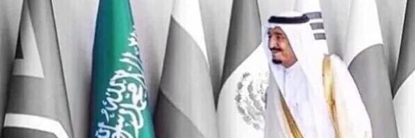 Alsenafi_150's profile banner image