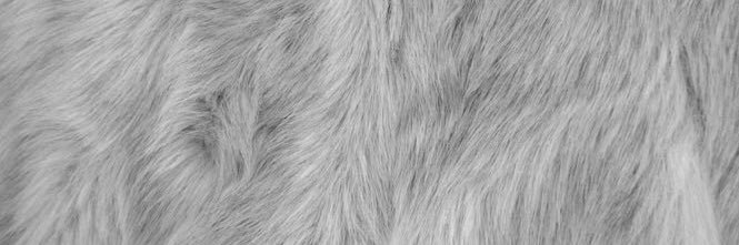 GabyPerabeles's profile banner image