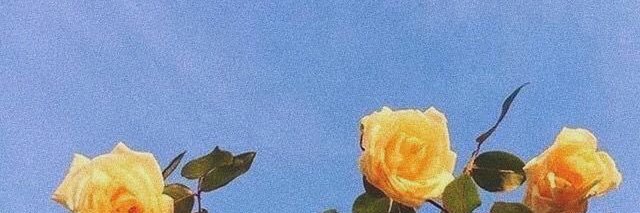 Alyakam_'s profile banner image