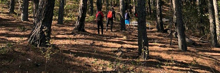 esaumtzR's profile banner image