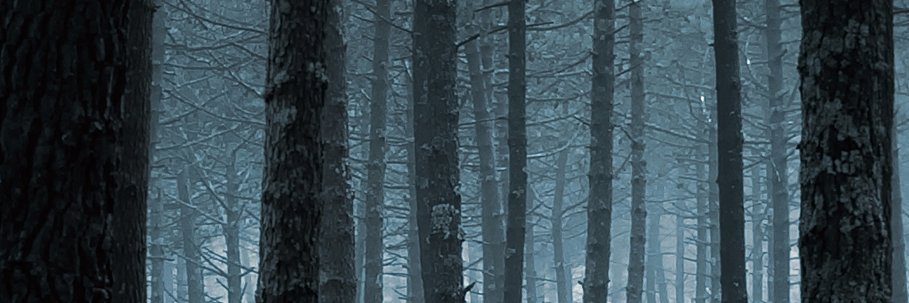 Floating_Forest's profile banner image