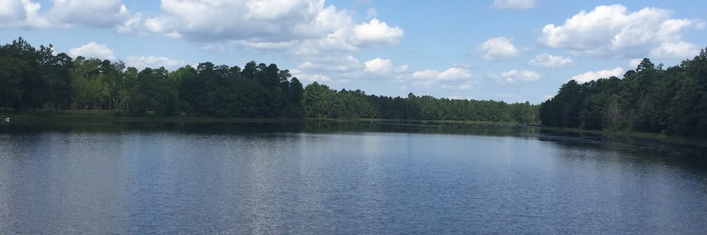 Colleentink's profile banner image