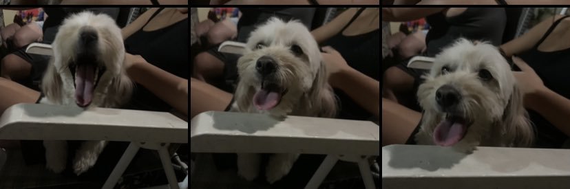 MileLozaano's profile banner image