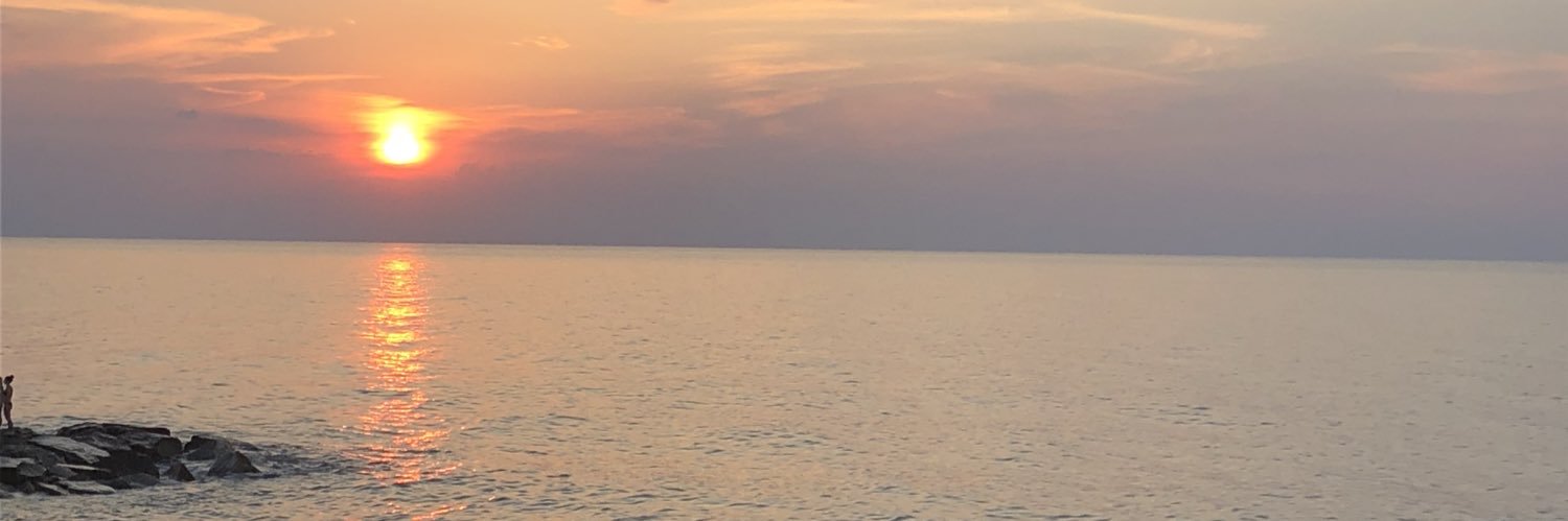 Massimo Vicario banner
