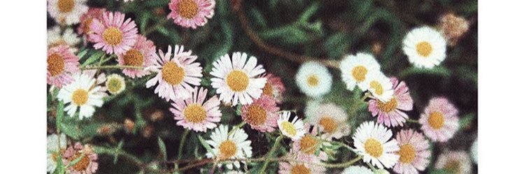 Laiadss's profile banner image