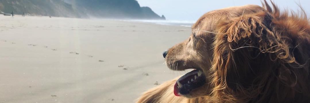 laubrockk's profile banner image