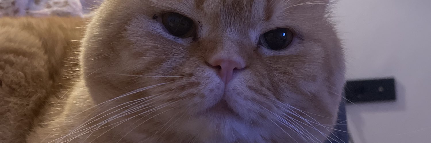 korelcim's profile banner image