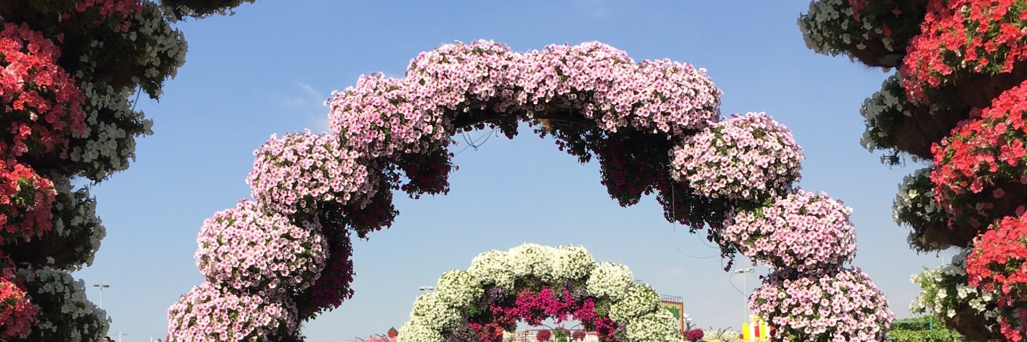 Miss_Kotwal's profile banner image