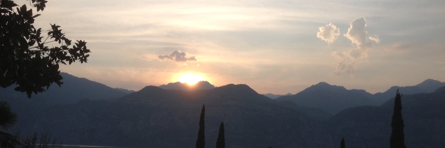 BoxerHardy's profile banner image