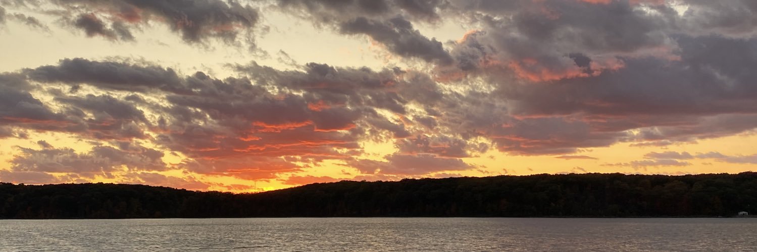 Ali Buckwalter banner