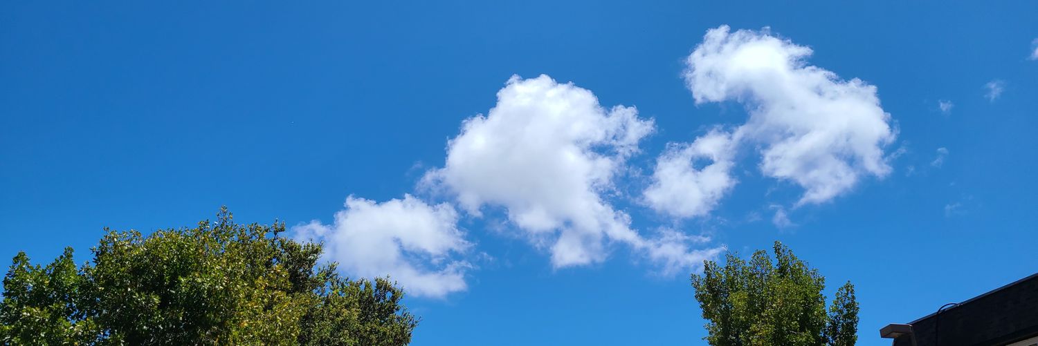 TweetAffinity's profile banner image