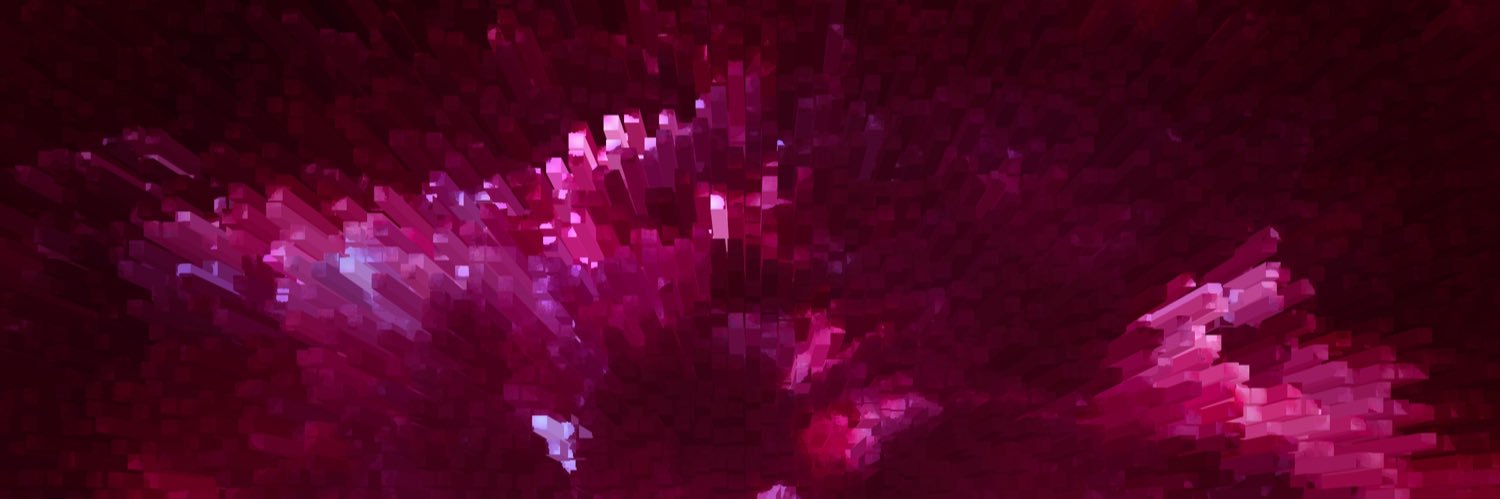 ALEK FIN banner