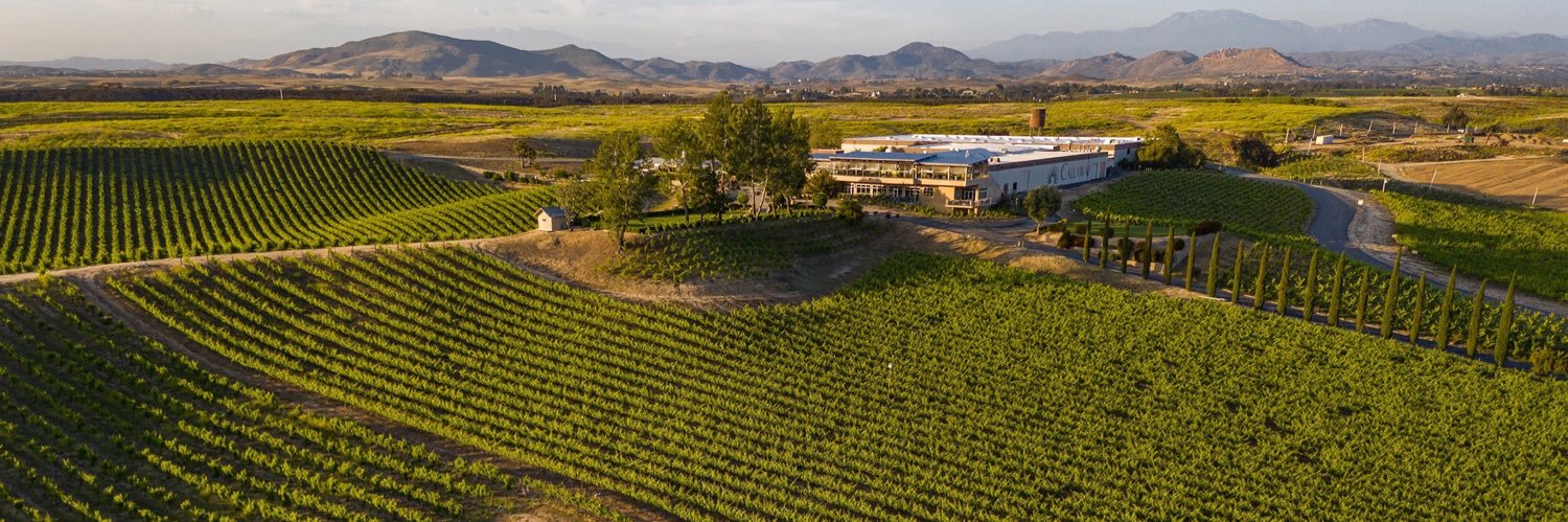 Callaway Winery banner