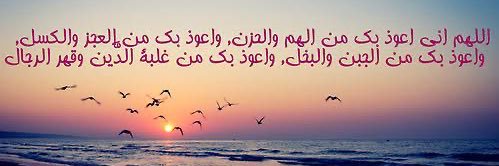 mahmoudtrk's profile banner image