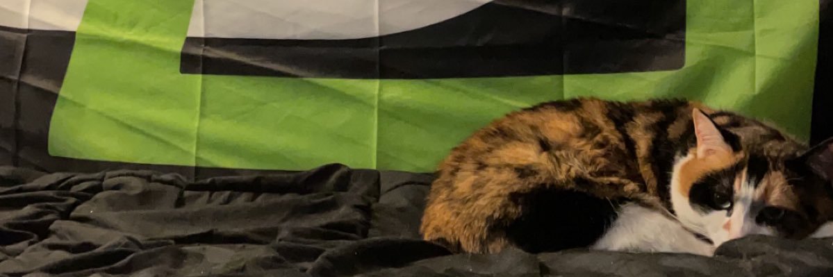 Rich banner
