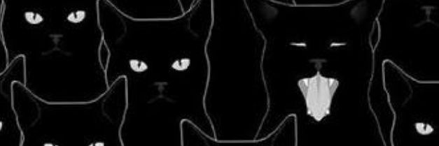 Elishabeee's profile banner image