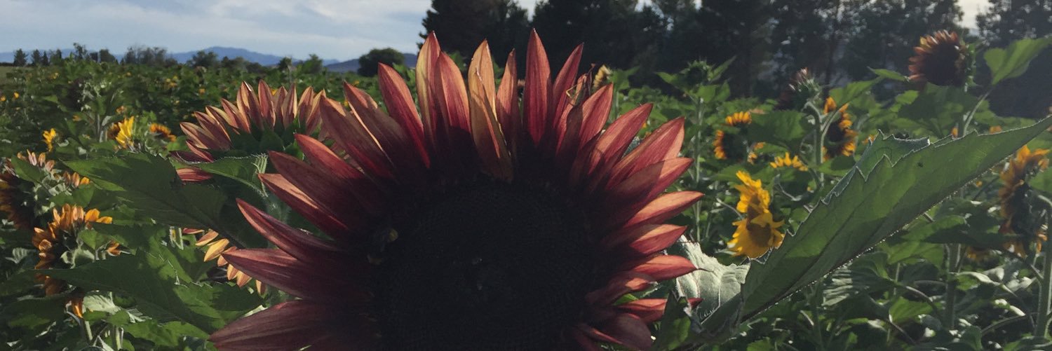theunsaint's profile banner image