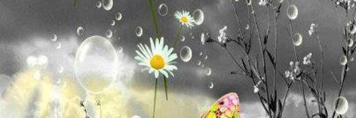 deSananda's profile banner image