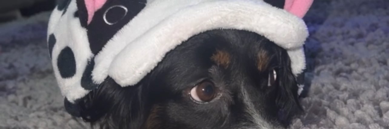 Kendrale23's profile banner image