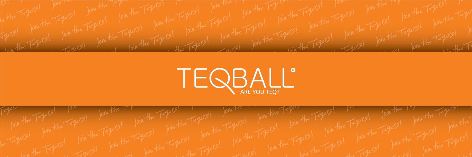 teqballfrance's profile banner image