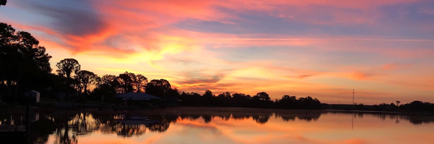 carrieliberante's profile banner image