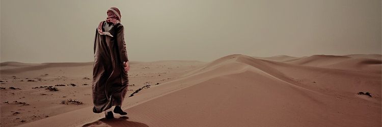 Dohanymi's profile banner image