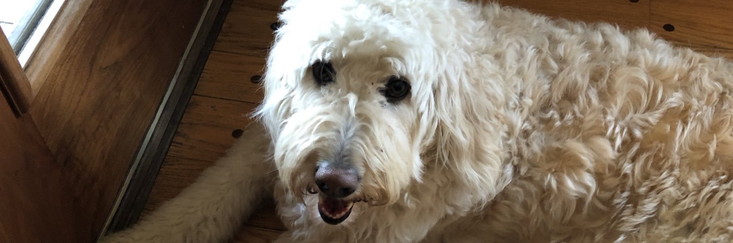 hamtucker's profile banner image