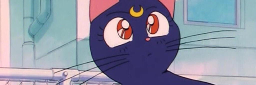 comradekiara's profile banner image
