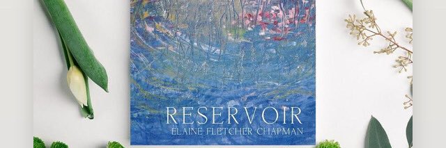 Elaine F. Chapman banner