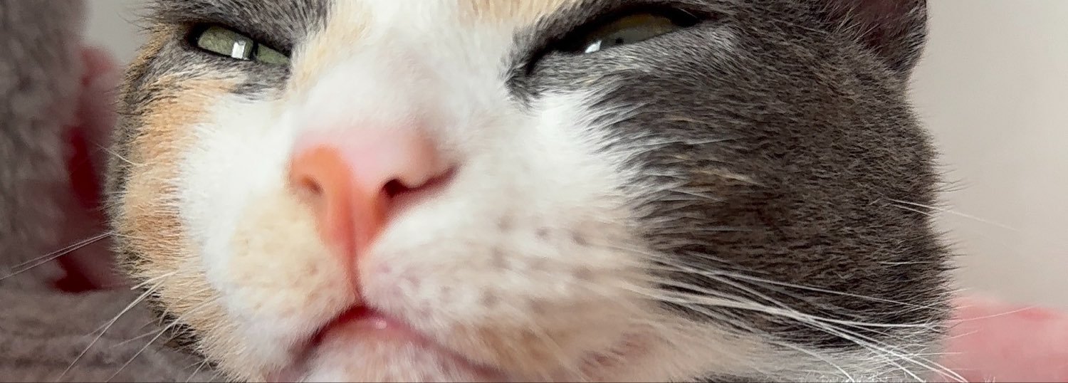 Keety___'s profile banner image