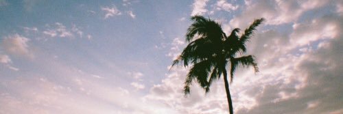 jesssforesss's profile banner image