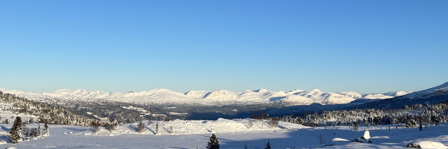 Simen Lillevik banner