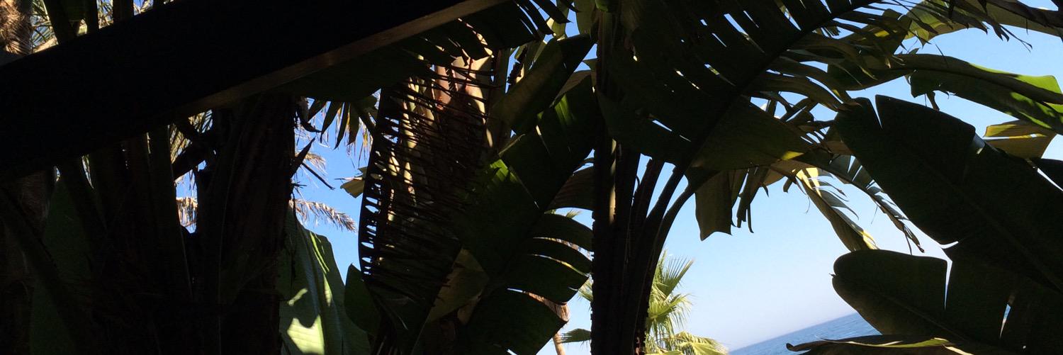 FGrayston's profile banner image